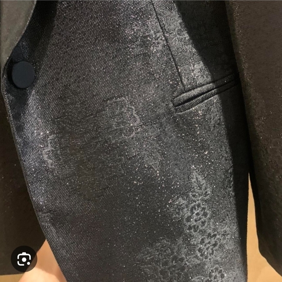 Zara Jacquard Blazer With Sparkle Detail and Satin Lapel / Party Jacket - Picture 2 of 7